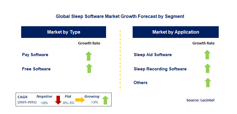 Sleep Software Market by Segment